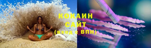 прущий лед Вяземский