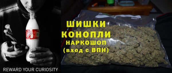 прущий лед Вяземский