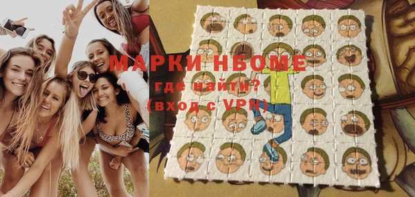 прущий лед Вяземский