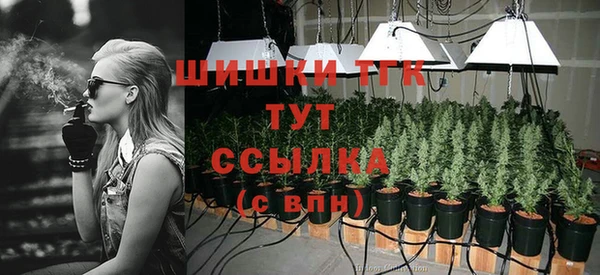 стаф Вязники