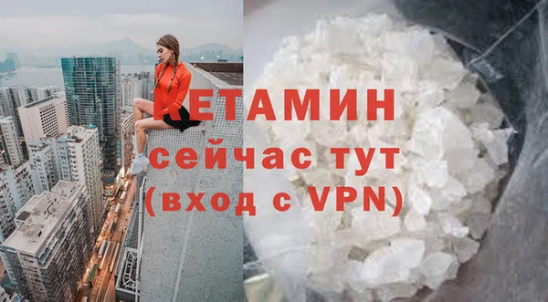 стаф Вязники