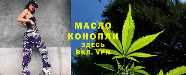 прущий лед Вяземский