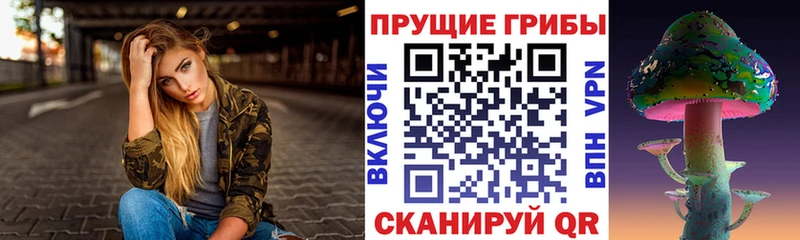 blacksprut рабочий сайт  Демидов  Псилоцибиновые грибы Psilocybine cubensis 